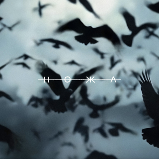 HOKKA - Blackbird (Beastie Butterfly)
